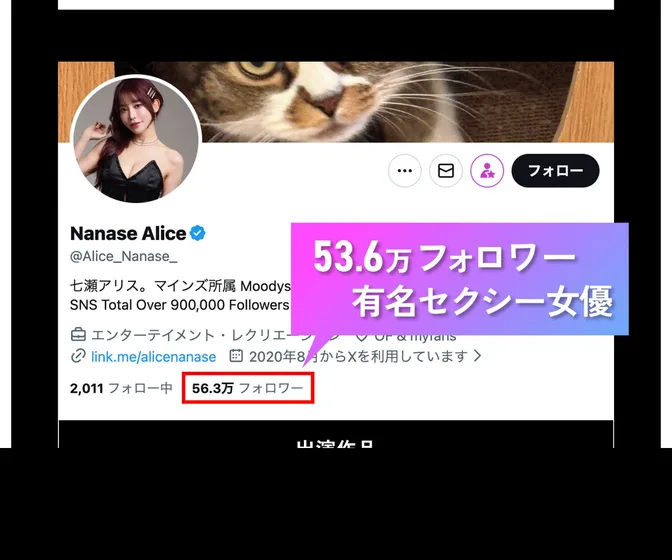 SNSで53万人以上のフォロワーがいる有名セクシー女優とのコラボをうたう広告の記載