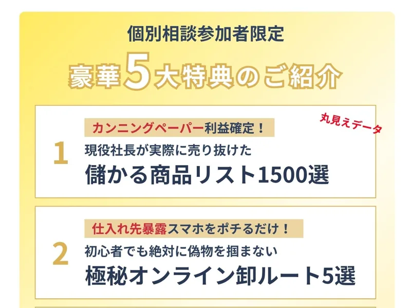 個別相談参加者限定として「儲かる商品リスト1500選」「極秘オンライン卸ルート5選」など豪華5大特典を案内する広告ページ