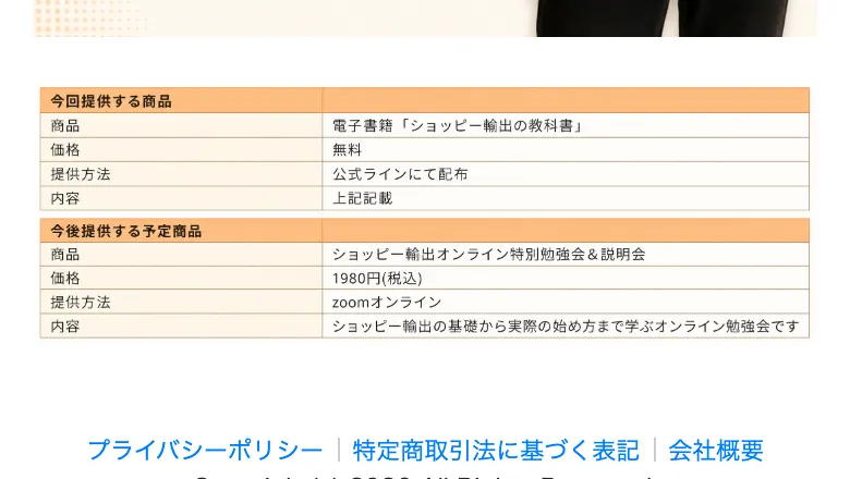 特定商取引法の表記。今回提供する商品は電子書籍で価格は無料、今後提供する予定商品はzoomオンラインの特別勉強会で価格は1980円と書かれた広告ページ
