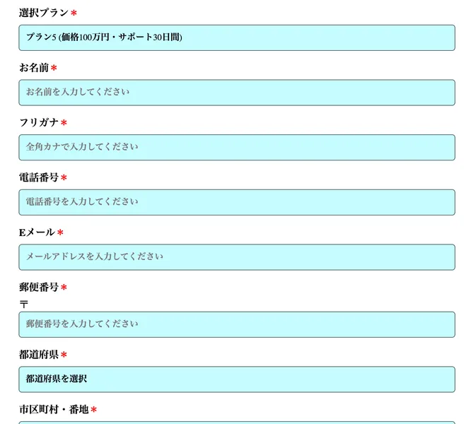 選択プランにプラン5(価格100万円・サポート30日間)と表示された申し込みフォーム