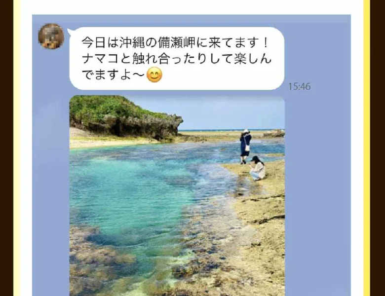 ウェルシェアの広告に並ぶ、沖縄旅行や高級な和牛の写真つきメッセージ