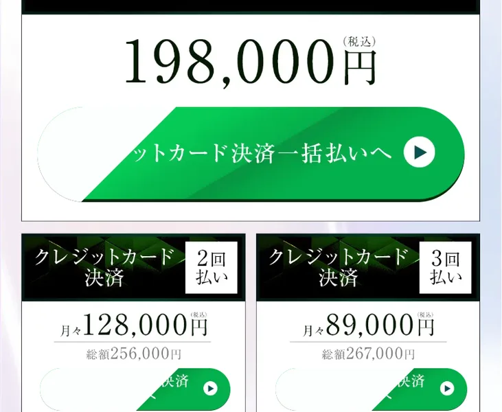 ZAIBATSUの料金プラン。クレジット一括198,000円、分割払いの総額256,000円や267,000円が並んでいる